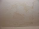 tn_DSC01983.JPG